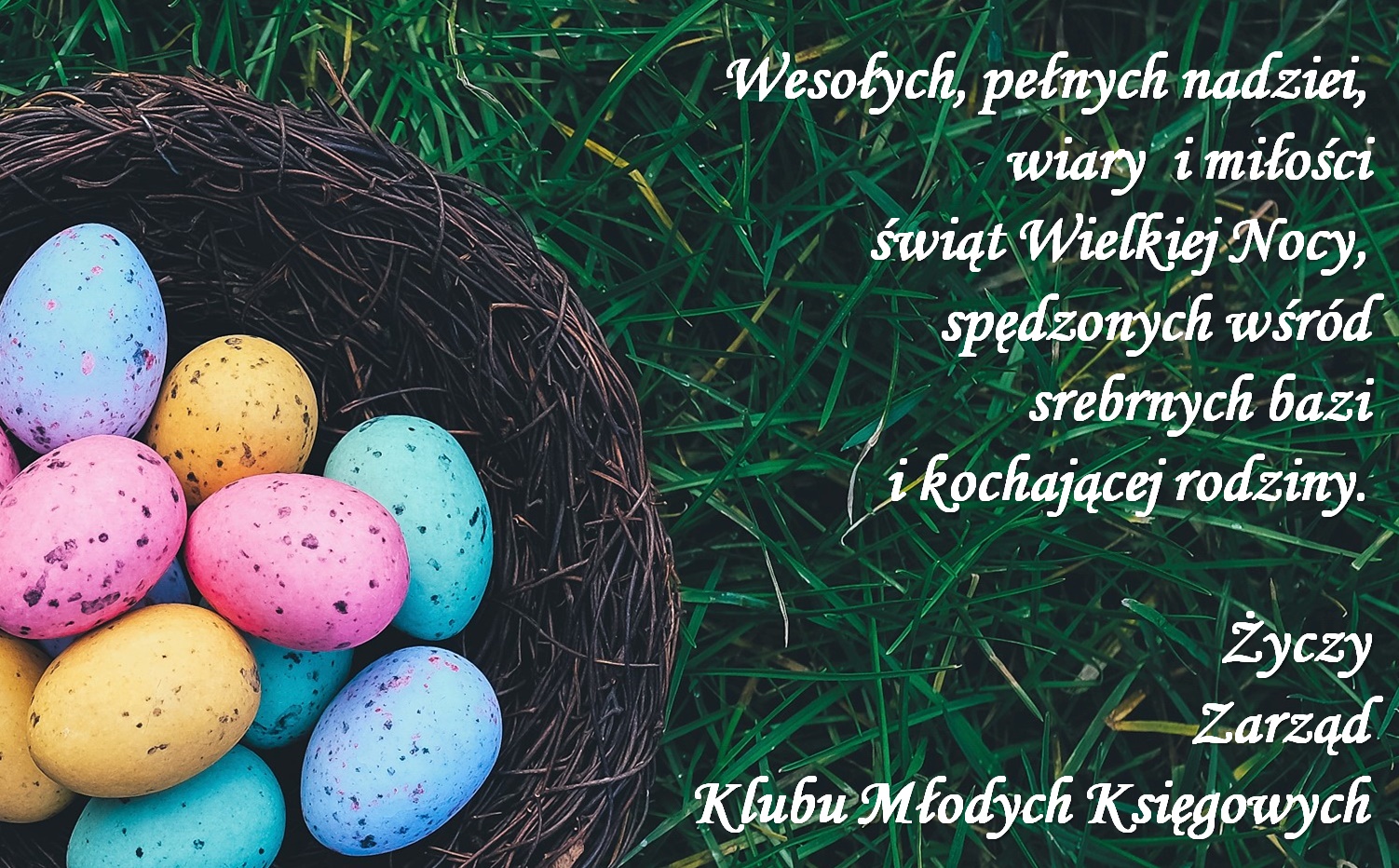 Wesołych Świąt !!